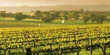 winery